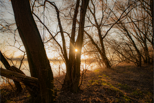 Finding Peace – Trusting Yourself in the Chaos